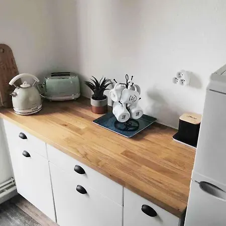 Near The Magic 4 Persons Apartment, 1 -minute Walk To Christmas Market! Colmar