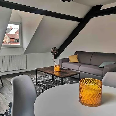 Near The Magic 4 Persons Apartment, 1 -minute Walk To Christmas Market! Appartamento Colmar